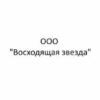 ООО «Восходящая звезда»